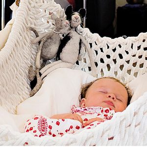 Ein traumhaftes Nest für Babys
